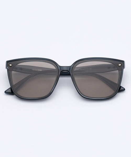 RC SNOW SUNGLASSES - 2 COLORS BLUE