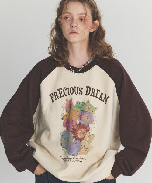 RAGLAN SWEATSHIRT - 2 COLORS BROWN