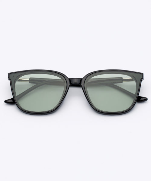 RC ROCHE SUNGLASSES - 3 COLORS GREEN