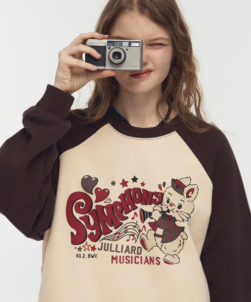 SYMPHONY RAGLAN SWEATSHIRT - 2 COLORS BROWN