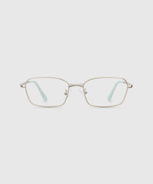 CROWN SUNGLASSES - 2 COLORS MATTE SILVER