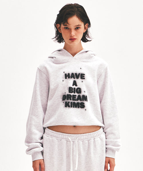 SHINING BIG DREAM HOODIE - 3 COLORS GREY