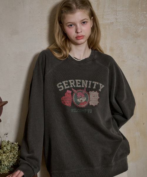 TEE RAGLAN PIGMENT SWEATSHIRT - 2 COLORS SMOKE BLACK