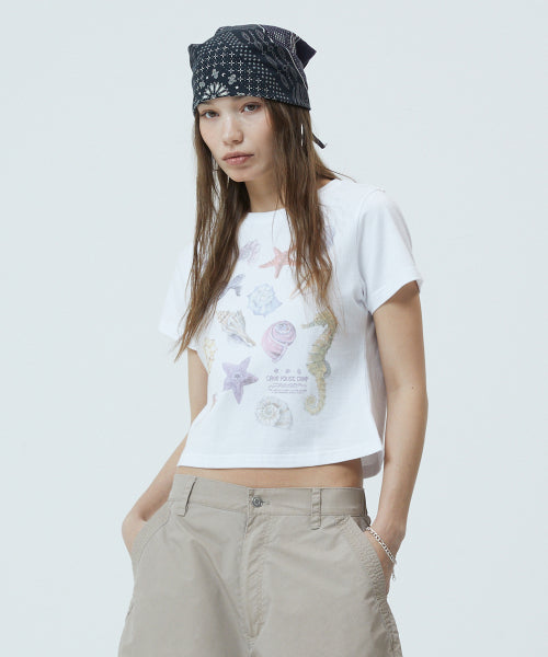 SEA SHELLS TEE - 2 COLORS