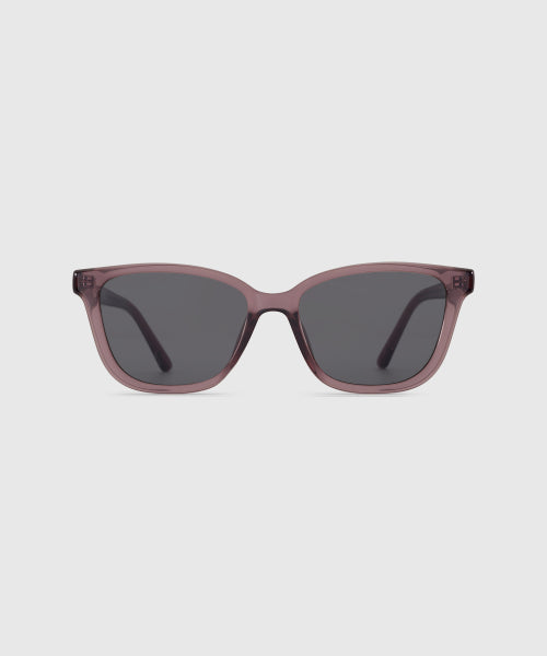 DION SUNGLASSES PURPLE BROWN