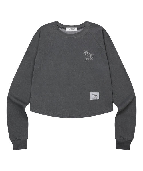 PIGMENT CROP ROLL LONG SLEEVE TEE - 2 COLORS CHARCOAL