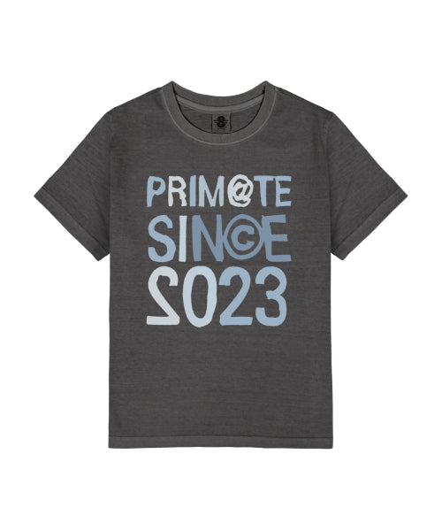 AROUND SHORT SLEEVE TEE SHIRT 4 COLORS - 4 COLORS GREY
