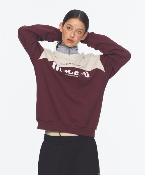 LETTERING SWEATSHIRT - 3 COLORS PURPLE