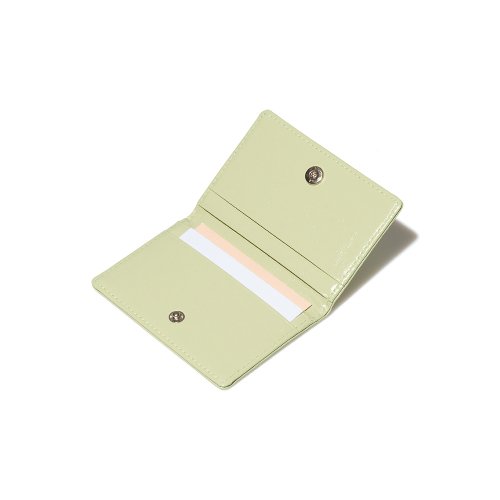 CRINKLE SOFT CARD CASE COOL - 10 COLORS MINT