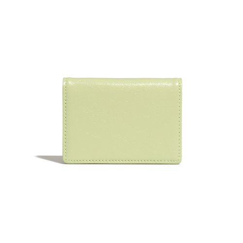 CRINKLE HALFMOON ACCORDION POCKET - 10 COLORS MINT