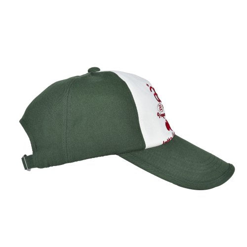 WEB LOGO 5 PANNEL BALL CAP - 5 COLORS GREEN