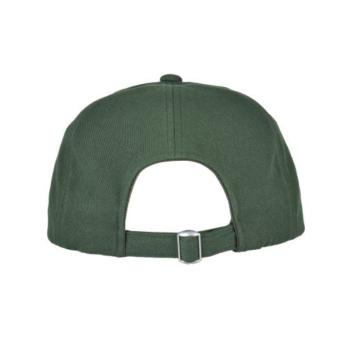 WEB LOGO 5 PANNEL BALL CAP - 5 COLORS GREEN