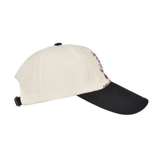 WEB LOGO 5 PANNEL BALL CAP - 5 COLORS BLACK