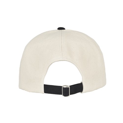 WEB LOGO 5 PANNEL BALL CAP - 5 COLORS BLACK