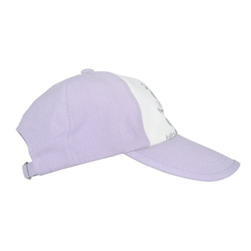 WEB LOGO 5 PANNEL BALL CAP - 5 COLORS AS SHOWN