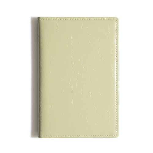 CRINKLE PASSPORT CASE SAGE - 5 COLORS MINT