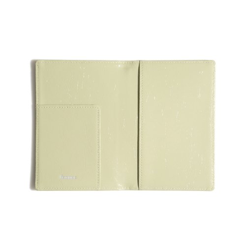 CRINKLE PASSPORT CASE SAGE - 5 COLORS MINT