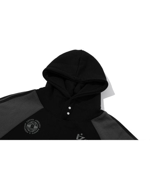 RAGLAN HOODIE - 2 COLORS AS SHOWN