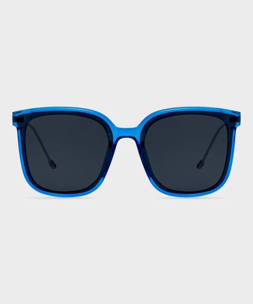 RC REWEGO SUNGLASSES - 3 COLORS BLUE