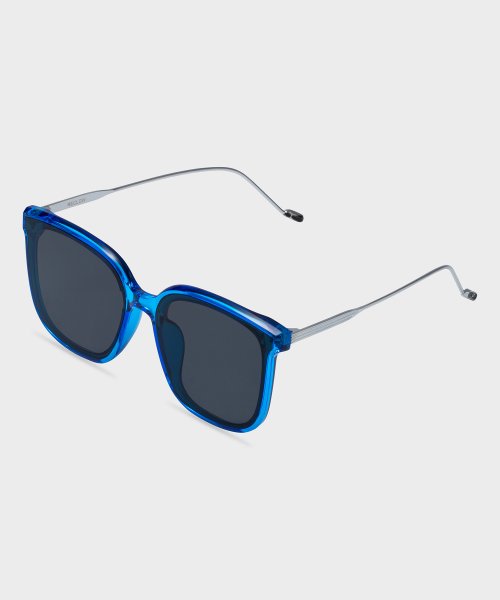 RC REWEGO SUNGLASSES - 3 COLORS BLUE