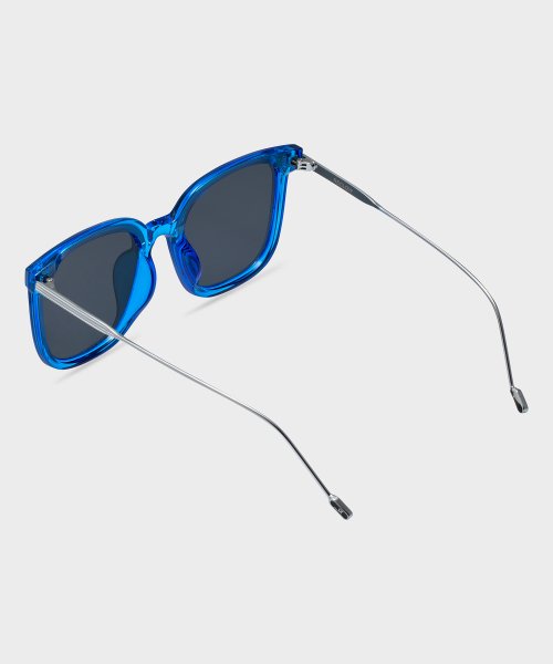 RC REWEGO SUNGLASSES - 3 COLORS BLUE