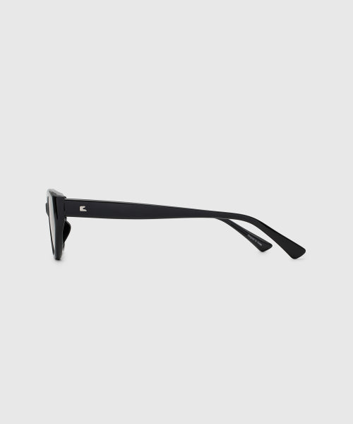 BIN SUNGLASSES - 2 COLORS BLACK