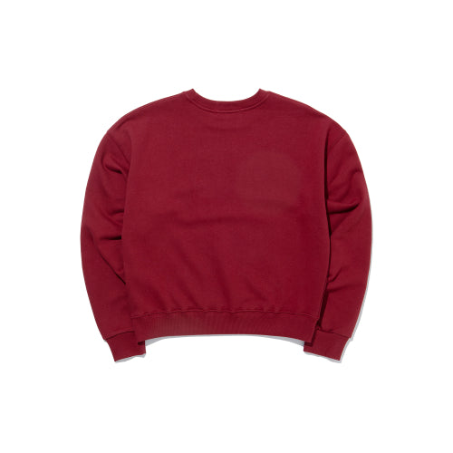 SQUARELINE IT SWEATSHIRTS BAG - 3 COLORS WINE