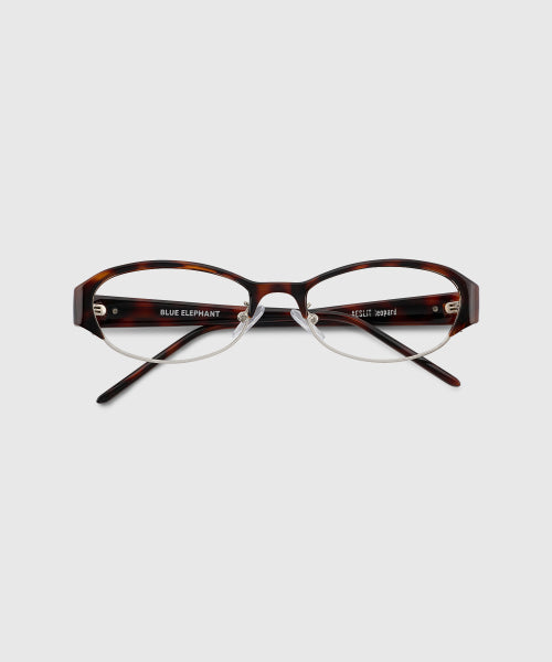 AESLIT SUNGLASSES - 4 COLORS LEOPARD