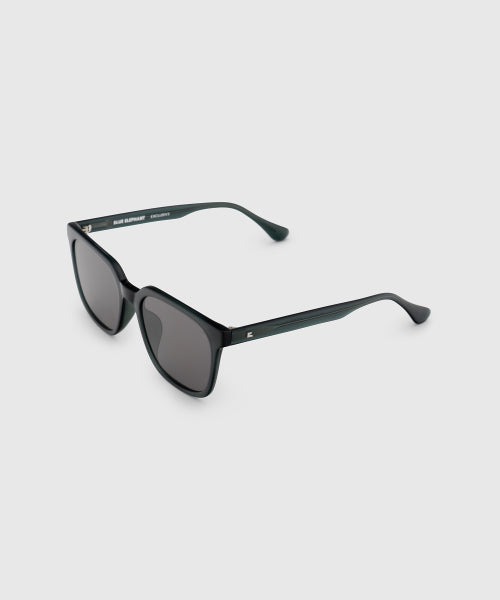 GIANNA SUNGLASSES BLUE GREEN