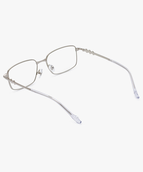 RC AMON STAINLESS GLASSES - 2 COLORS SILVER