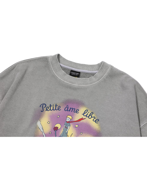 PIGMENT SWEATSHIRT - 2 COLORS GHOST GREY