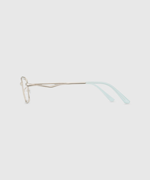 CROWN SUNGLASSES - 2 COLORS MATTE SILVER