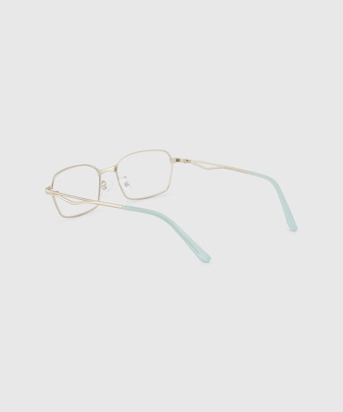 CROWN SUNGLASSES - 2 COLORS MATTE SILVER