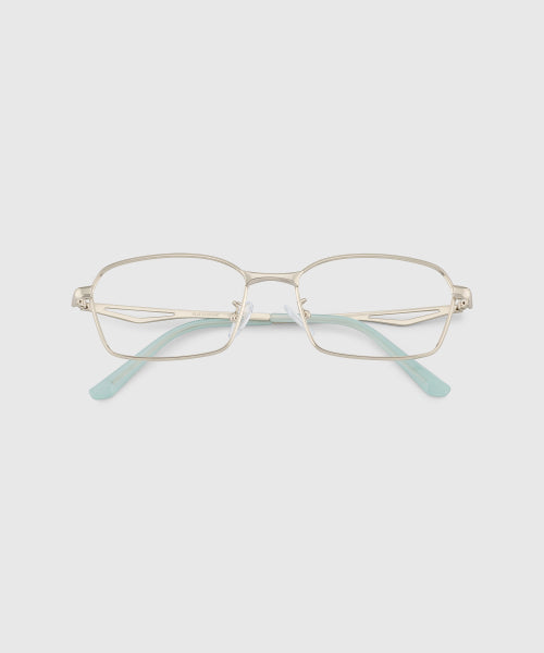 CROWN SUNGLASSES - 2 COLORS MATTE SILVER