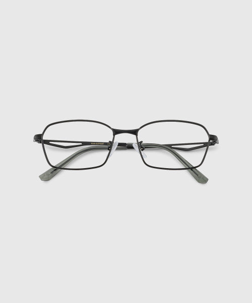 CROWN SUNGLASSES - 2 COLORS BLACK