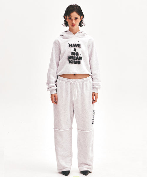 SHINING BIG DREAM HOODIE - 3 COLORS GREY