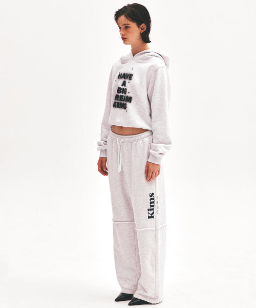 SHINING BIG DREAM HOODIE - 3 COLORS GREY