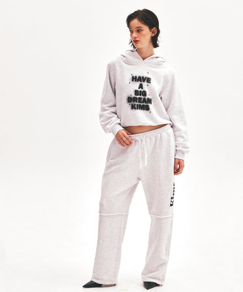 SHINING BIG DREAM HOODIE - 3 COLORS GREY