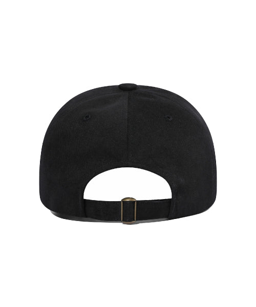 HOME PROTECTOR BALL CAP - 2 COLORS BLACK