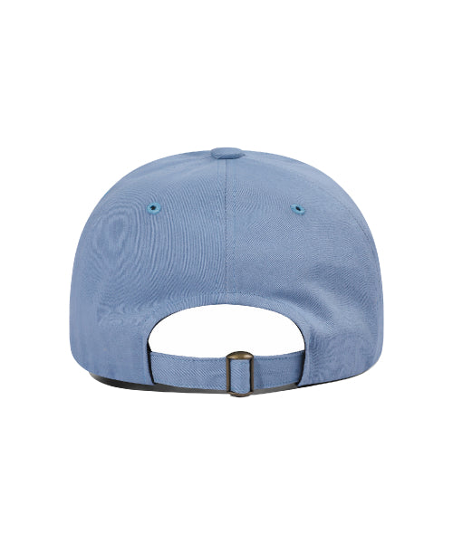 HOME PROTECTOR BALL CAP - 2 COLORS SKY BLUE