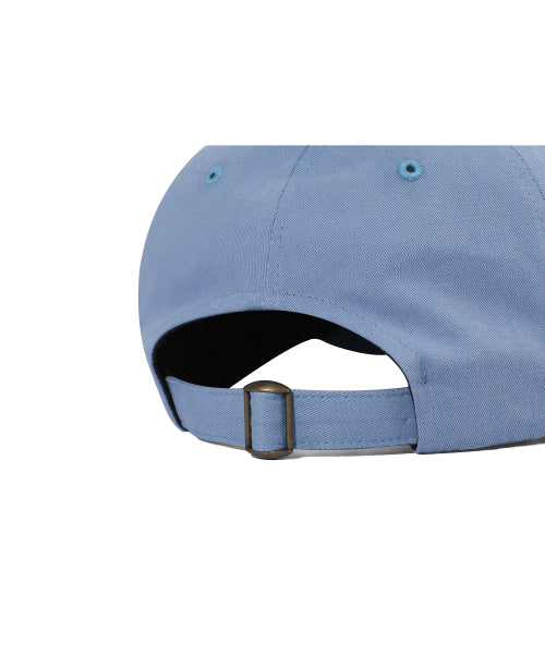 HOME PROTECTOR BALL CAP - 2 COLORS SKY BLUE