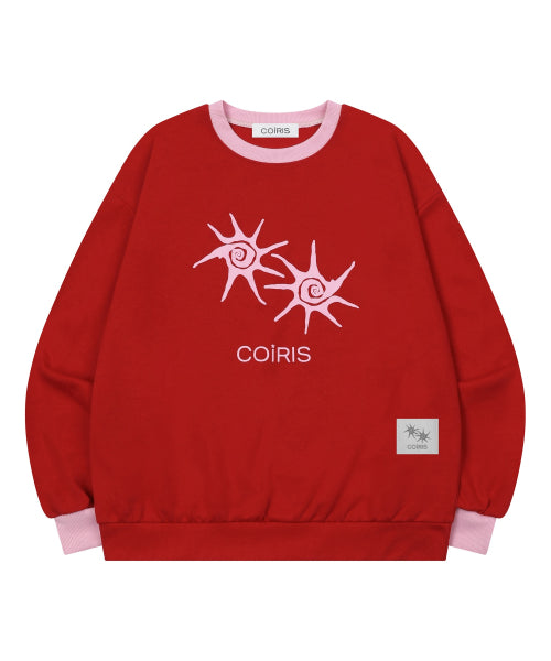 SWEATSHIRT - 11 COLORS CHARCOAL