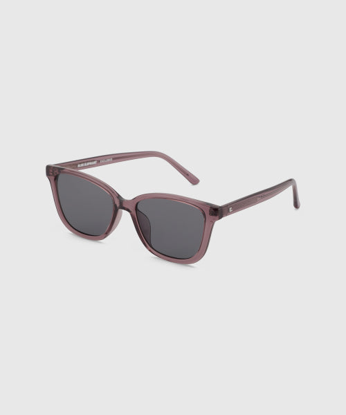 DION SUNGLASSES PURPLE BROWN