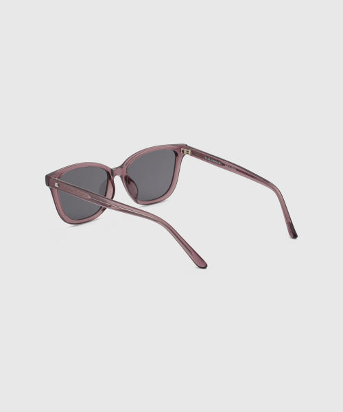 DION SUNGLASSES PURPLE BROWN