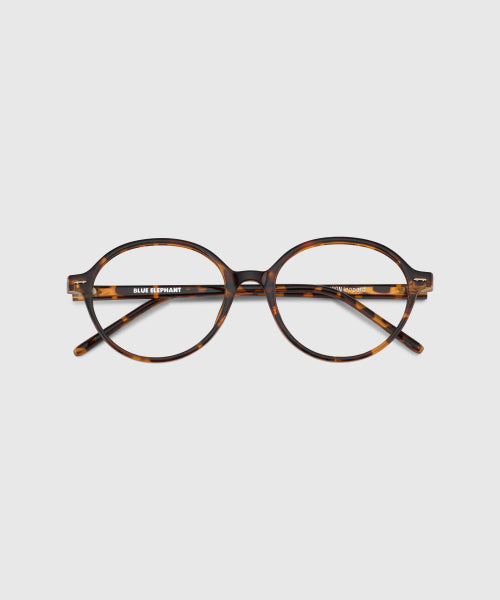 JOON SUNGLASSES - 2 COLORS LEOPARD