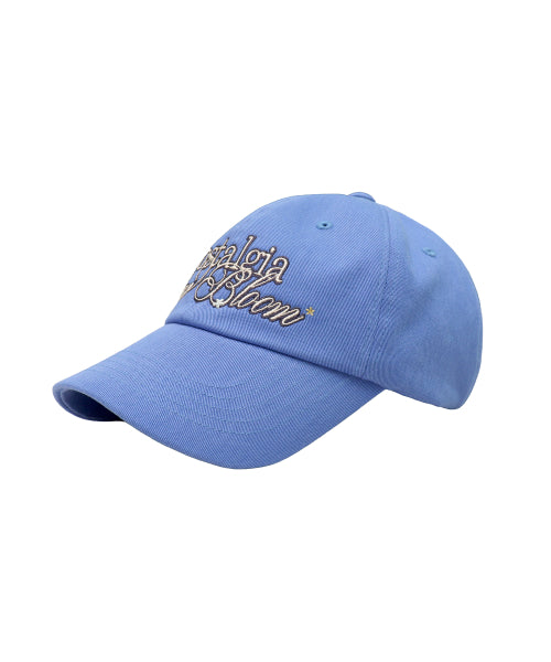 NOSTALGIA TYPO BALL CAP - 2 COLORS BLUE