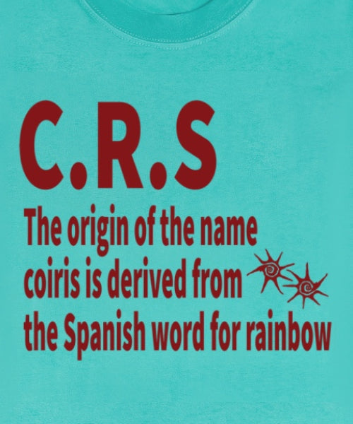 CRS VIVID MINT SLIM FIT SHORT SLEEVE TEE MINT