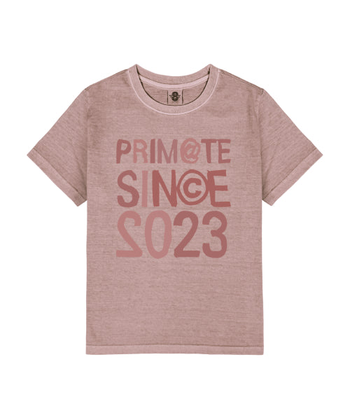 AROUND SHORT SLEEVE TEE SHIRT 4 COLORS - 4 COLORS GREY