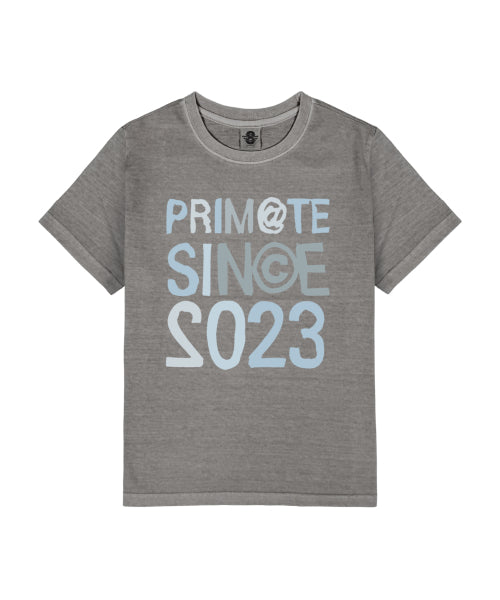 AROUND SHORT SLEEVE TEE SHIRT 4 COLORS - 4 COLORS GREY