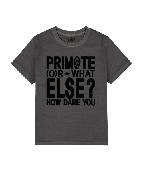 ELSE SHORT SLEEVE TEE SHIRT 4 COLORS - 4 COLORS GREY